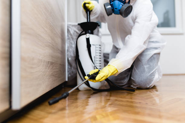 Best Rat Extermination Near Me  in Pineville, LA
