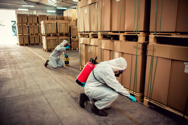 Best Termite Control Services  in Pineville, LA