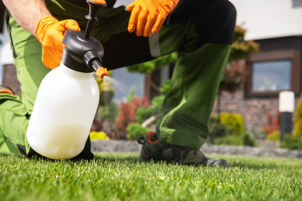 Best Best Pest Control Companies  in Pineville, LA