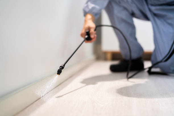 Flea Control Services in Pineville, LA