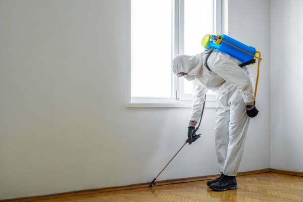 Pest Control Cost in Pineville, LA