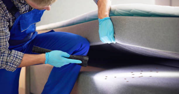 Best Exterminator Services  in Pineville, LA
