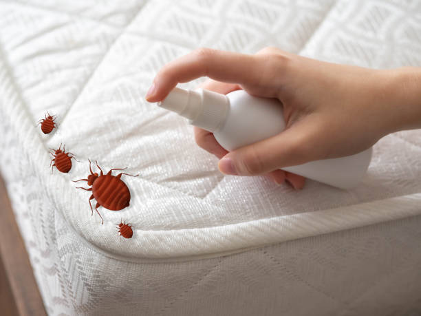 Best Pest Control for Businesses  in Pineville, LA