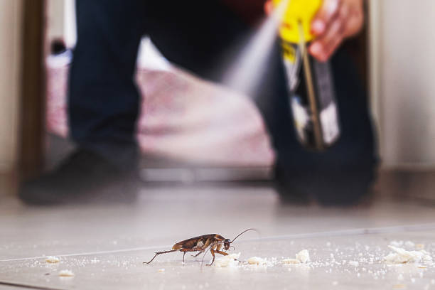 Professional Pest Control in Pineville, LA