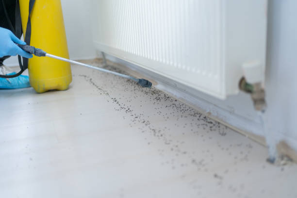 Best Commercial Pest Control Services  in Pineville, LA