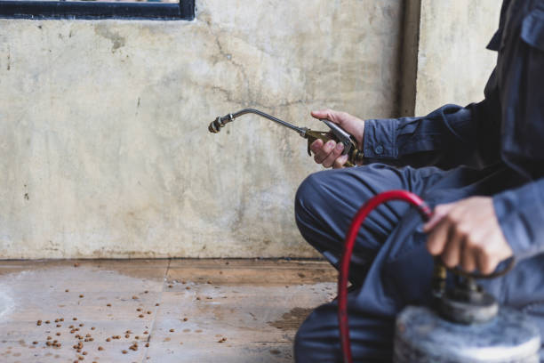 Best Pest Removal Services  in Pineville, LA